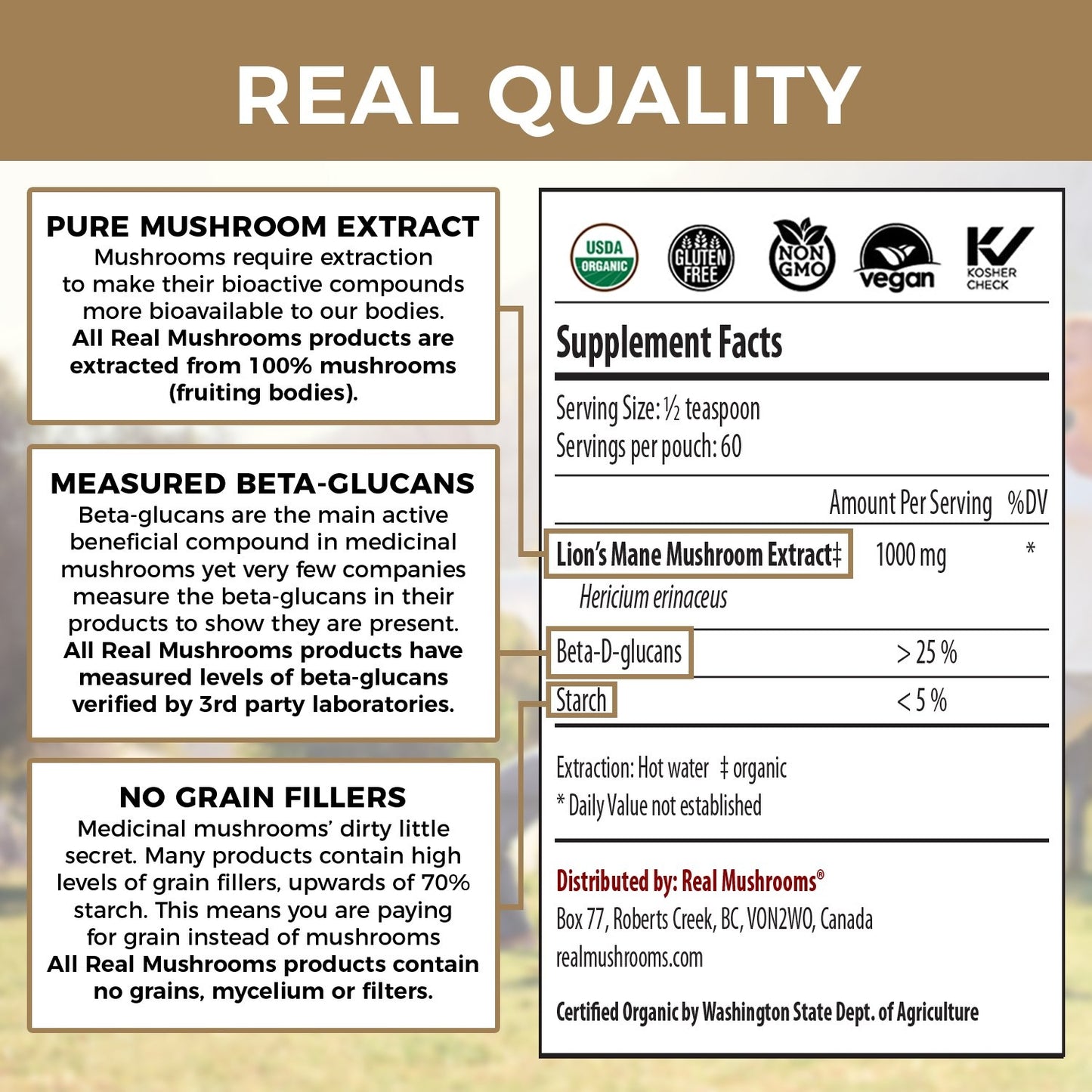 Lions Mane Mushroom Extract Bulk Powder