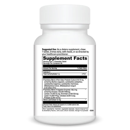 Digestive Enzymes Chewable with Prebiotics + Probiotics (90 Tablets)