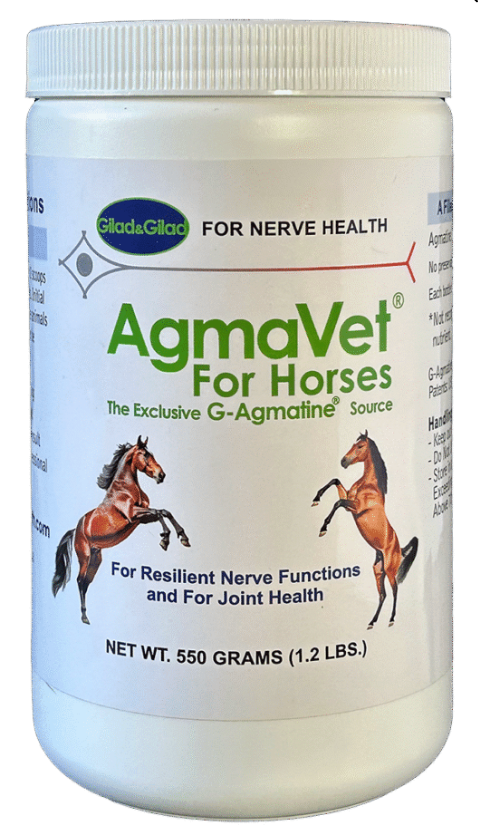 Gilad AgmaVet for Horses