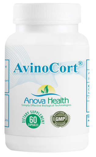 AvinoCort