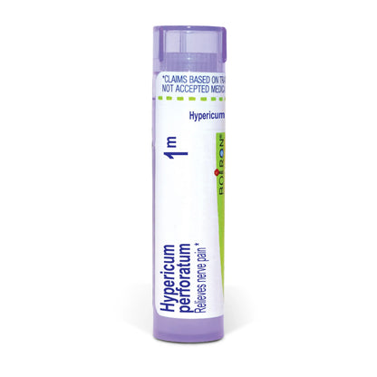 Hypericum 1m