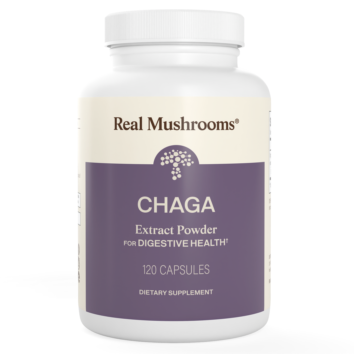 Chaga Extract