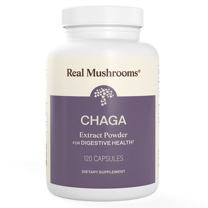 Chaga Extract