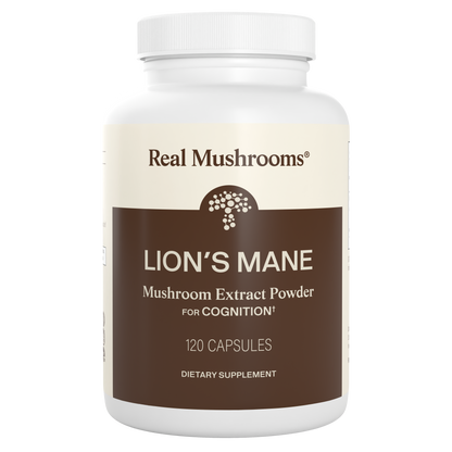 Lions Mane Extract