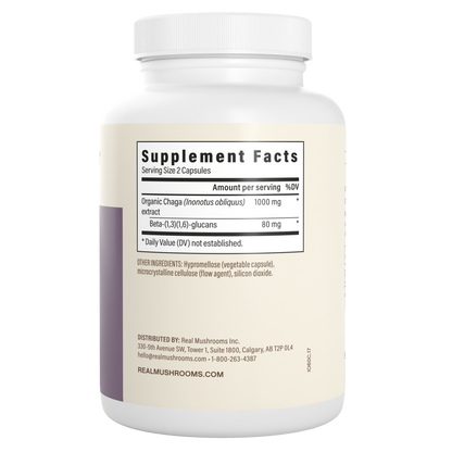 Chaga Extract