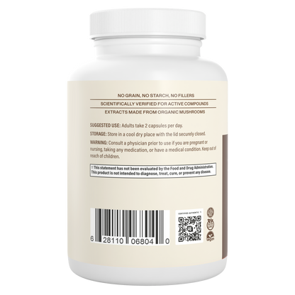 Lions Mane Extract