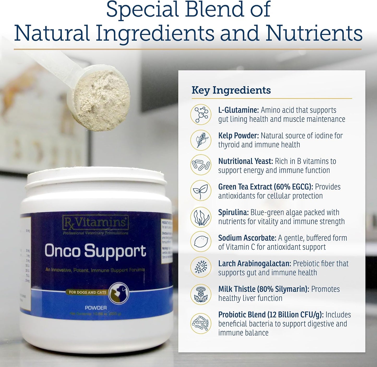 Rx Vitamins Onco Support Powder for Dogs & Cats