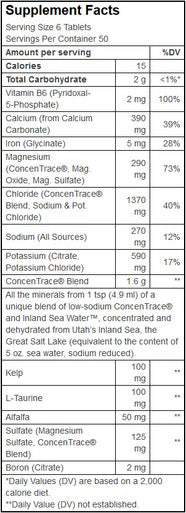 Trace Minerals Electrolyte Stamina 90