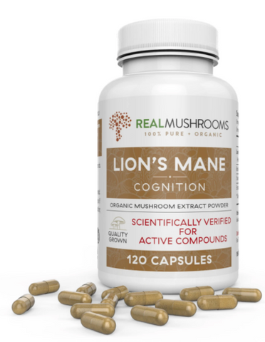 Lions Mane Extract
